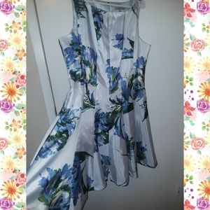Plus size blue floral spring and summer dress